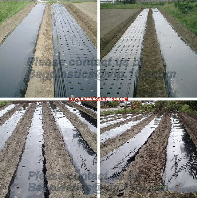 agricultural film, pe film, horticultural mulch film, garden perforated