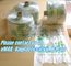 Supermarket Shopping Fresh Fruit Vegetable Packaging Plastic Bag On Roll Polythene Bags, Ldpe Bags, Hdpe Bags, Food Serv supplier