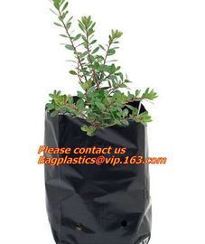 garden bags, grow bags, hanging plant bags, planters, LDPE plant, grow, nursery bags supplier