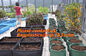 Horticulture, Planter, Grow Bag, garden bags, grow bags, hanging plant bags, planter supplier