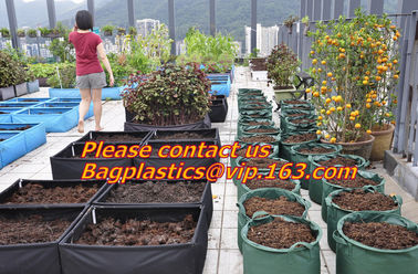 Horticulture, Planter, Grow Bag, garden bags, grow bags, hanging plant bags, planter supplier