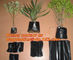 garden bags, grow bags, hanging plant bags, planters, LDPE plant, grow, nursery bags supplier