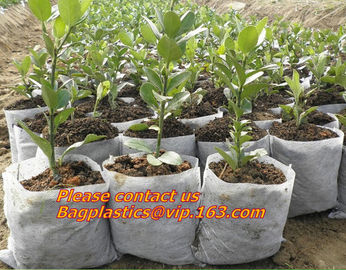 garden bags, grow bags, hanging plant bags, planters, LDPE plant, grow, nursery bags supplier