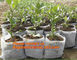 Horticulture, NURSERY, PLANTER, SEED, PLASTIC GROW BAGS, HYDROPONICS, FLOWERPOTS, BLACK supplier