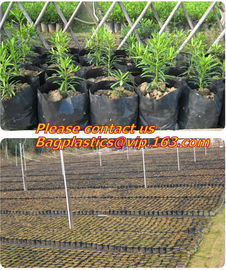 garden bags, grow bags, hanging plant bags, planters, LDPE plant, grow, nursery bags supplier