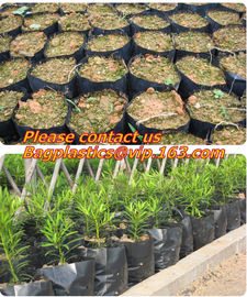 garden bags, grow bags, hanging plant bags, planters, LDPE plant, grow, nursery bags supplier