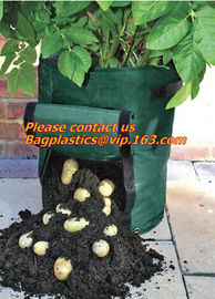 garden bags, grow bags, hanging plant bags, planters, LDPE plant, grow, nursery bags supplier