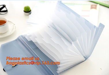 new popular a4/letter size plastic pp poly Expandable Desk top file folder organizer supplier