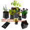 Flower bags, flower plant bags, planters, poly plant grow nursery bags,Black Polythene Poly Pots, plantin supplier