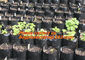Poly Planter, Grow Bag, garden bags, grow bags, hanging plant bags, planters, Plastic planting bags, pot, plant grow bag supplier