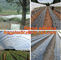100% new LDPE green house plastic clear covering film,anti drip tomato Hydroponics agricultural plastic film supplier