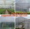 Agricultural Mulching Film Used for Fruit, Flower and Vegetable supplier