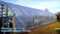 Agricultural uv protection greenhouse plastic film, Greenhouse Agricultural plastic film supplier