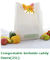 En13432 certified custom printed wholesale biodegradable compostable plastic pharmacy bag with singlet handle supplier