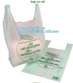 EN13432 BPI OK compost home ASTM D6400 certificates cheap compostable 100% biodegradable fruits bag, vegetable fruit rol supplier