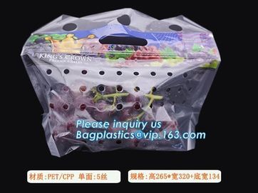 Hang Hole Plastic Stand Up Cherry Bag Factory, Fresh fruit bag(Cherry/Lichi/grape), Perforated Standup Bag for Fruit Pac supplier