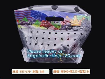 Hang Hole Plastic Stand Up Cherry Bag Factory, Fresh fruit bag(Cherry/Lichi/grape), Perforated Standup Bag for Fruit Pac supplier