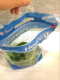 vegetable and fruit packing zipper zip lock slider bag, Green grapes packaging bag with slider/Grapes packing bag/Plasti supplier