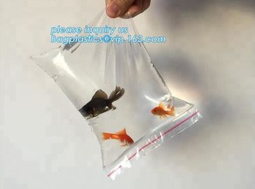 Resealable Print k Custom Printed Plastic Pill Pouch Medical Zip Lock Bags, reclosable pouch glossy stand up supplier