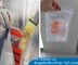8&quot;*10&quot; BIOHAZARD PRINTED SPECIMEN BAGS with tear off line, 3-wall Biohazard Specimen Bags, Laboratory Specimen Transport supplier