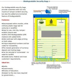 Care Security Bags Lok Security Bags Safe Security Bags Security Closure bags SECURITY BAGS &amp; ENVELOPES, BAGPLASTICS, BA supplier