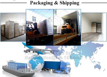 Poly Mailing Bags/Shipping Envelopes/Courier Bags, mailing envelope plastic security courier bag, DHL UPS Express Shippi supplier