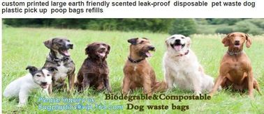 POOP BAGS, SCOOPERS, PET WASTE BAGS, PET BAGS, LITTER BAGS, DOGGY BAGS, DOG WASTE BAGS, PET WASTE COLLECTION BAGS, CLEAN supplier