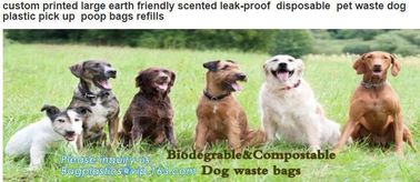 POOP BAGS, SCOOPERS, PET WASTE BAGS, PET BAGS, LITTER BAGS, DOGGY BAGS, DOG WASTE BAGS, PET WASTE COLLECTION BAGS, CLEAN supplier