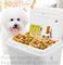Pet Foods Storage Containers Bowls with Spoons Cat's Dog's Kitty's Puppy's Feeders Accessories Canisters Set, bagease supplier