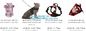 BIG DOG HARNESS, Custom Logo Nylon Rope Pet Dog Leash and Harness Set, size/logo/color no pull easy walk puppy big Dog H supplier