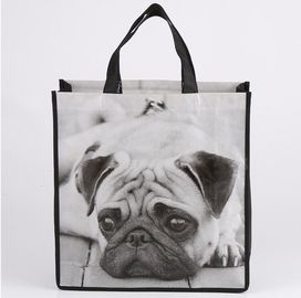 Custom 80 GPP black laminated non woven bag, Factory OEM Supply Hot Selling Custom non woven bag, promotional non woven supplier