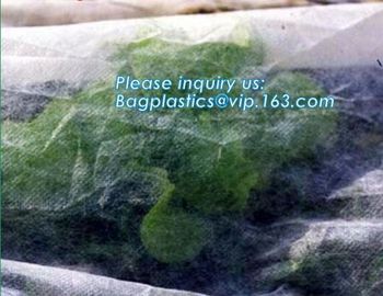 high quality PP nonwoven fabric agriculture Cover Non Woven Fabric agriculture fabric plant cover fruit bags, bagease supplier