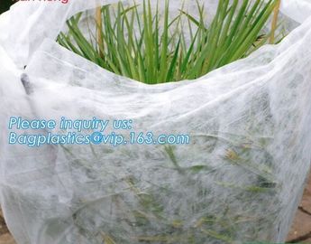 high quality PP nonwoven fabric agriculture Cover Non Woven Fabric agriculture fabric plant cover fruit bags, bagease supplier