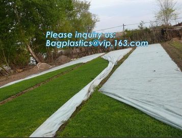 Anti UV sunshade agricultural nonwoven fabric, Agricultural pp spunbond nonwoven fabric /agriculture ground cover for pl supplier