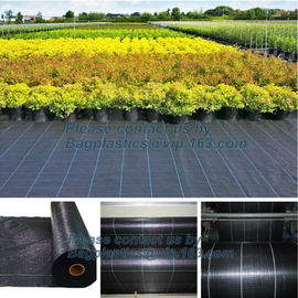 Water management weeb control pavement preservation courtyard beautify anti insect anti mold seedbed protection vegetati supplier