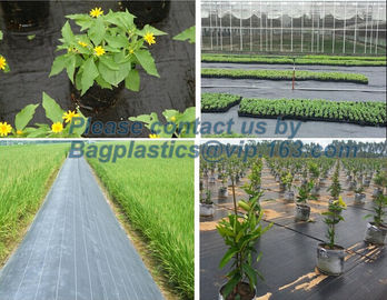 Water management weeb control pavement preservation courtyard beautify anti insect anti mold seedbed protection vegetati supplier