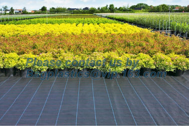 Water management weeb control pavement preservation courtyard beautify anti insect anti mold seedbed protection vegetati supplier