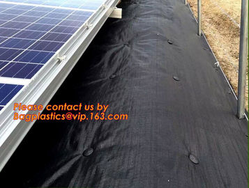 Agricultural garden weed barrier mat/weed barrier cloth,Black plastic anti weed mat/ground cover/weed barrier mat, BAGEA supplier
