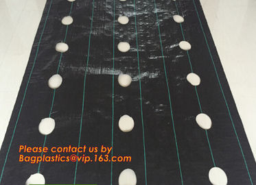100% pp cover fabric weed control mat weed barrier Anti weed mat,Supply heavy duty 100% virgin anti grass weed barrier/g supplier