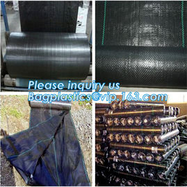 Weed control plastic mat, Grow black plastic weed control mat, Garden plastic ground cover mesh,Ground Cover Type Agricu supplier
