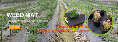 Landscape and agricultural 5oz pp ground cover fabric commercial weed barrier,Weed Barrier Around Fruit Trees PP Woven W supplier