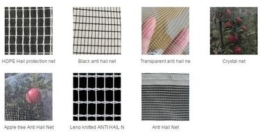 Anti insect net, anti bug net, anti aphid net, mesh anti insect net,shade sail,shade net, anti hail net,protection net supplier