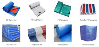 bird protection net, net trap,bird net,anti-bird net,mist net,pe tarpaulin,tarpaulin roll,shade net,mesh net,monoflament supplier