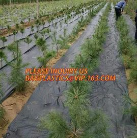 environmental biodegradable pp woven weed control mat, heavy dury pe tarpaulin,Woven Weed Barrier/Weed Control Fabric supplier