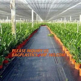 environmental biodegradable pp woven weed control mat, heavy dury pe tarpaulin,Woven Weed Barrier/Weed Control Fabric supplier
