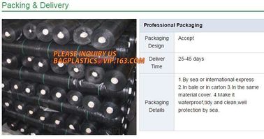 Application Wide Range mulching film for agriculture pp woven weed barrier for Strawberry,Weed Barrier Fabric,PP woven w supplier