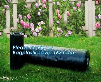 sun shade net,weel contol net,greenhouse film,fibc bag,Cheap Weed Control Fabric/Heavy Duty Weed Mat/Landscape Barriers supplier