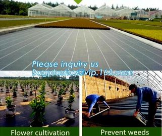 prevent insects,tree planting,agriculture protection Plastic weed barrier,weed matt Bio-degradable Agricultural PP Weed supplier