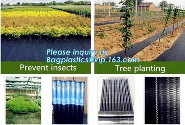 plastic agricultural mulch film, weel control fabric roll,prevent weed growing,weed barrier fabric,Weed Control Folding supplier