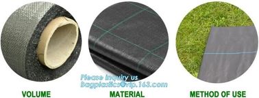 mesh bag,insect net,anti hail net,weed mat,Polyester fiberglass anti insect net for insect screen window,anti insect mes supplier